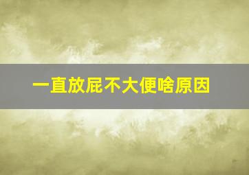 一直放屁不大便啥原因