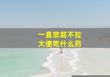 一直放屁不拉大便吃什么药