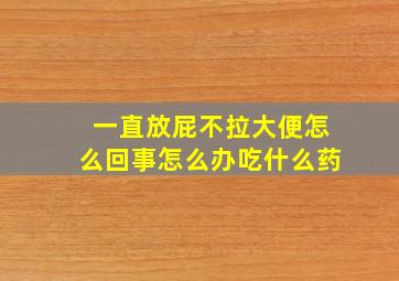 一直放屁不拉大便怎么回事怎么办吃什么药