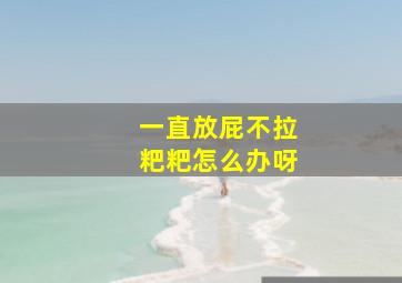 一直放屁不拉粑粑怎么办呀