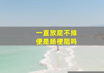 一直放屁不排便是肠梗阻吗