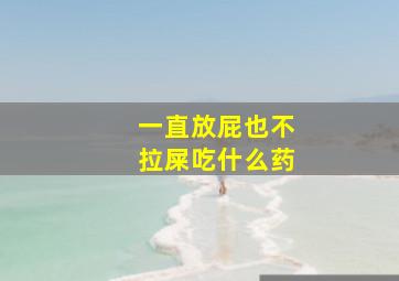 一直放屁也不拉屎吃什么药