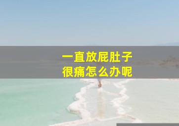 一直放屁肚子很痛怎么办呢