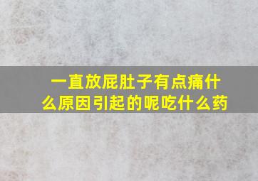 一直放屁肚子有点痛什么原因引起的呢吃什么药