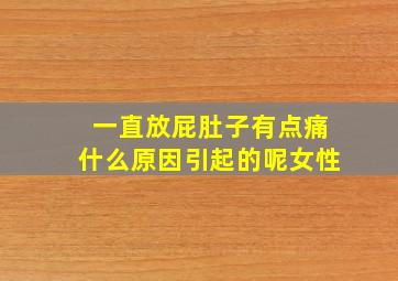 一直放屁肚子有点痛什么原因引起的呢女性