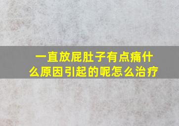 一直放屁肚子有点痛什么原因引起的呢怎么治疗