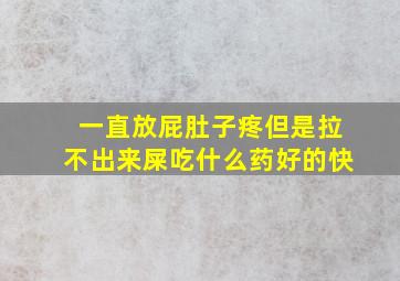 一直放屁肚子疼但是拉不出来屎吃什么药好的快