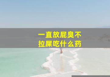 一直放屁臭不拉屎吃什么药