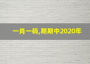 一肖一码,期期中2020年