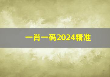 一肖一码2024精准