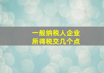 一般纳税人企业所得税交几个点