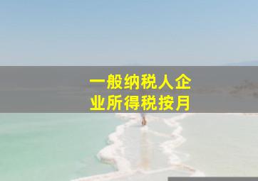 一般纳税人企业所得税按月