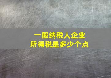 一般纳税人企业所得税是多少个点