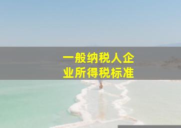 一般纳税人企业所得税标准