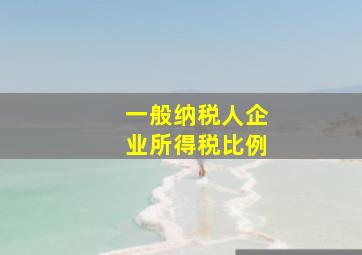 一般纳税人企业所得税比例