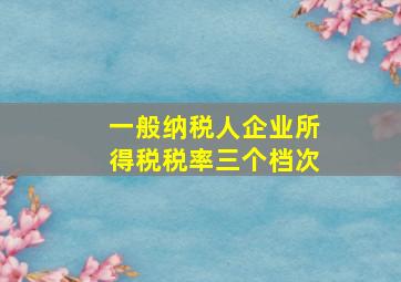 一般纳税人企业所得税税率三个档次