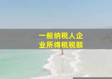 一般纳税人企业所得税税额