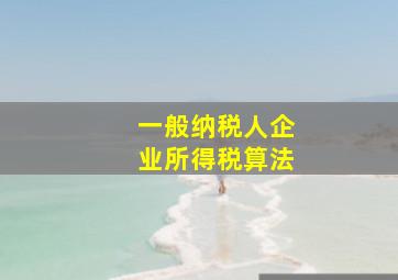 一般纳税人企业所得税算法