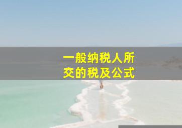 一般纳税人所交的税及公式