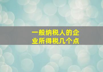 一般纳税人的企业所得税几个点