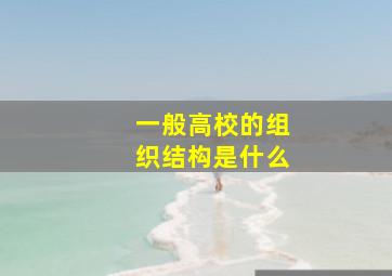 一般高校的组织结构是什么