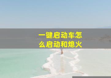 一键启动车怎么启动和熄火