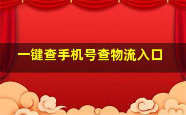 一键查手机号查物流入口