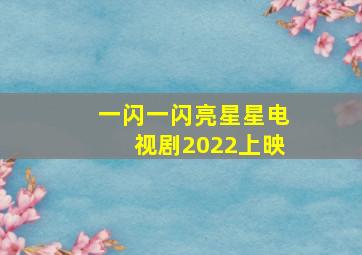 一闪一闪亮星星电视剧2022上映