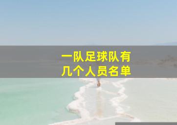 一队足球队有几个人员名单