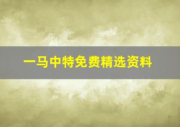 一马中特免费精选资料