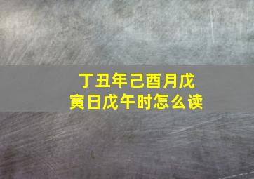 丁丑年己酉月戊寅日戊午时怎么读