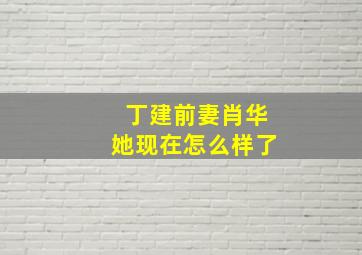 丁建前妻肖华她现在怎么样了