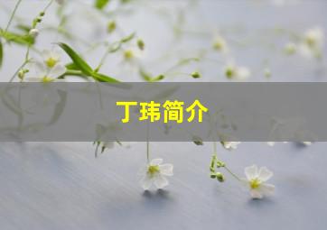 丁玮简介