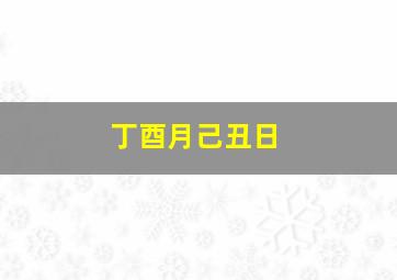 丁酉月己丑日