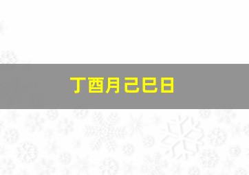 丁酉月己巳日