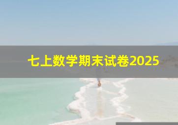 七上数学期末试卷2025