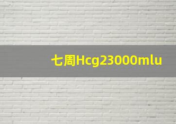 七周Hcg23000mlu