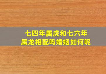 七四年属虎和七六年属龙相配吗婚姻如何呢