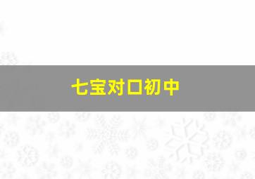 七宝对口初中