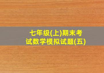 七年级(上)期末考试数学模拟试题(五)