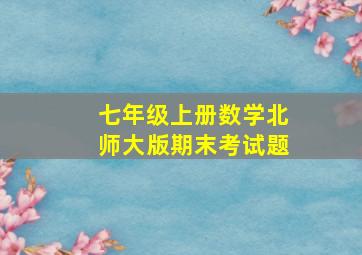 七年级上册数学北师大版期末考试题