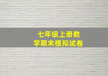 七年级上册数学期末模拟试卷