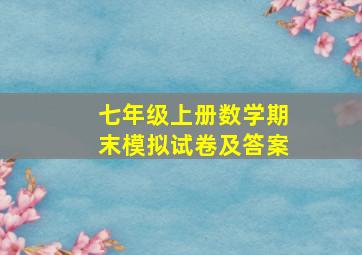 七年级上册数学期末模拟试卷及答案