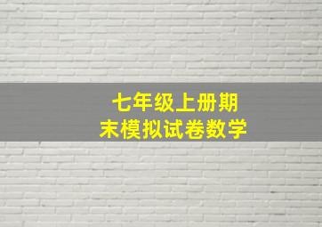 七年级上册期末模拟试卷数学