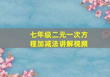 七年级二元一次方程加减法讲解视频