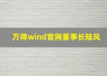 万得wind官网董事长陆风