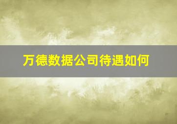 万德数据公司待遇如何