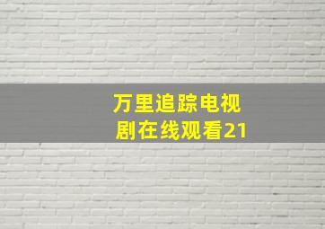 万里追踪电视剧在线观看21