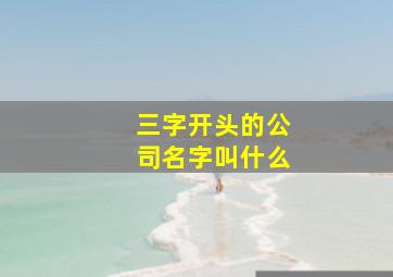 三字开头的公司名字叫什么