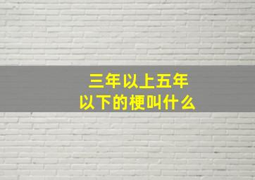 三年以上五年以下的梗叫什么